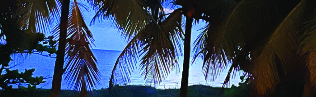 Coconut trees on an island with leaves